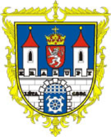 Registrace vozidel na odboru dopravy na přelomu roku 2008/2009